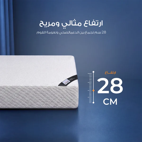 Height copy مرتبة رول كمفورت بريميوم